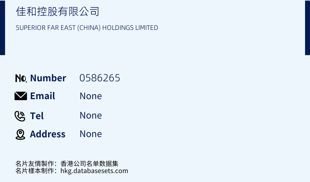佳和控股有限公司 Business Card Sample
