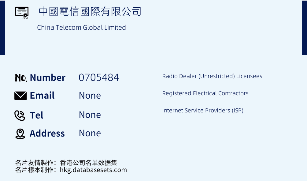 中國電信國際有限公司 Business Card Sample