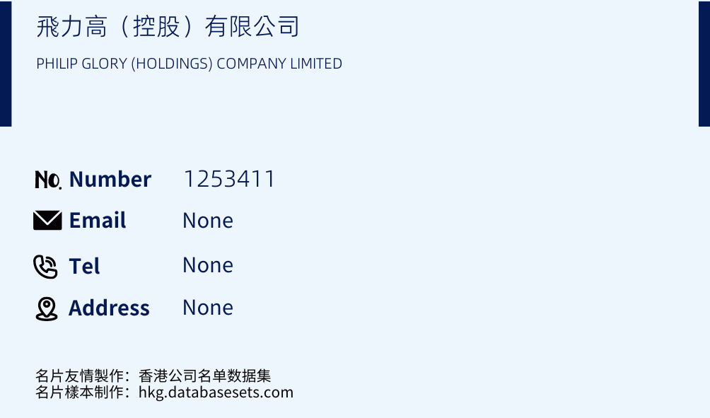 飛力高（控股）有限公司 Business Card Sample
