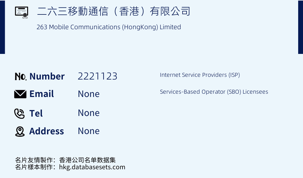 二六三移動通信（香港）有限公司 Business Card Sample