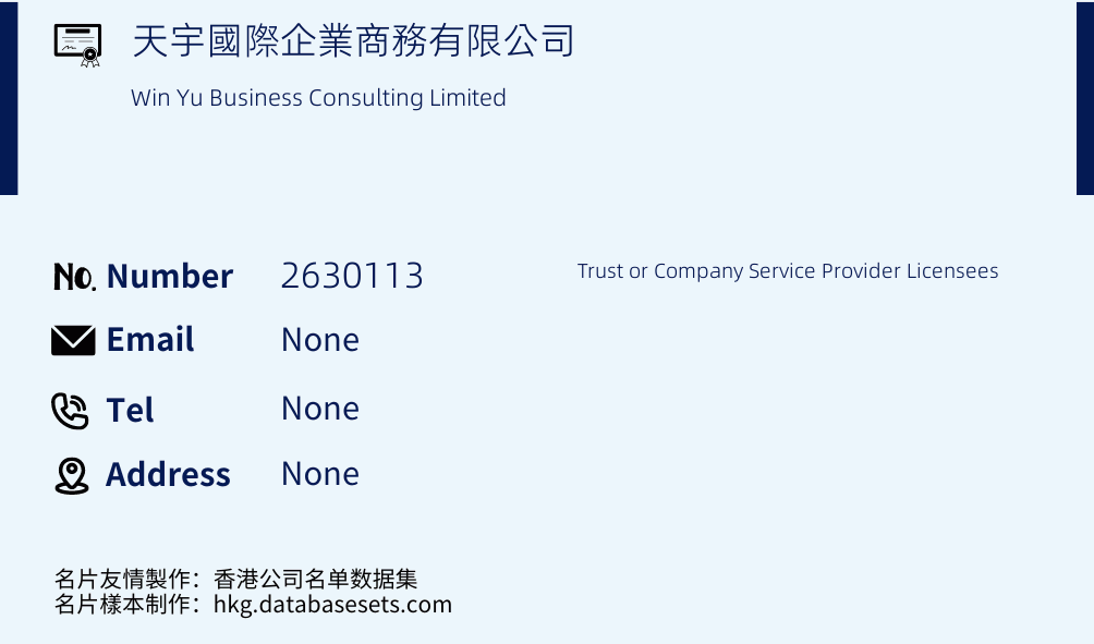 天宇國際企業商務有限公司 Business Card Sample