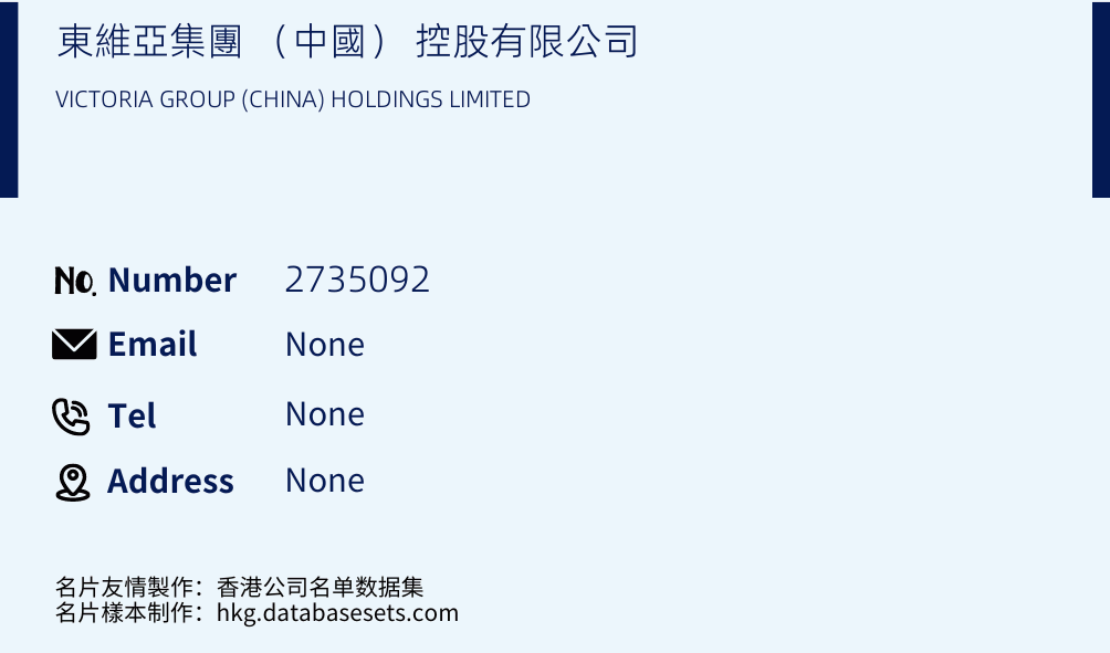 東維亞集團 （中國） 控股有限公司 Business Card Sample