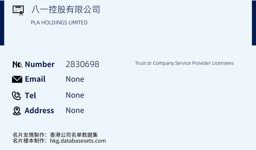 八一控股有限公司 Business Card Sample