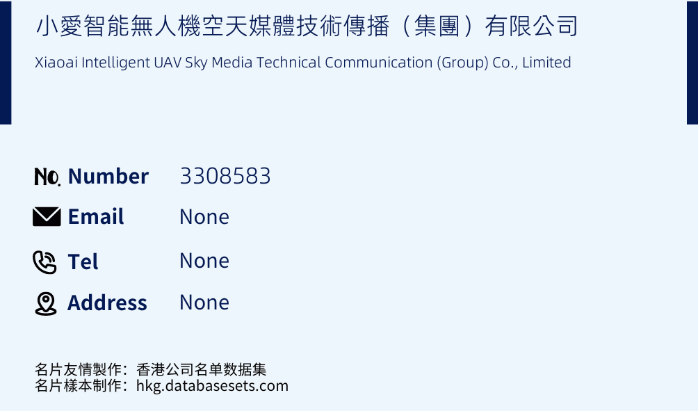 小愛智能無人機空天媒體技術傳播（集團）有限公司 Business Card Sample