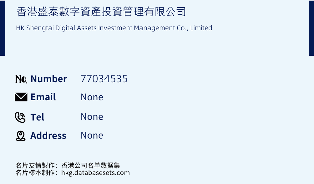 香港盛泰數字資產投資管理有限公司 Business Card Sample
