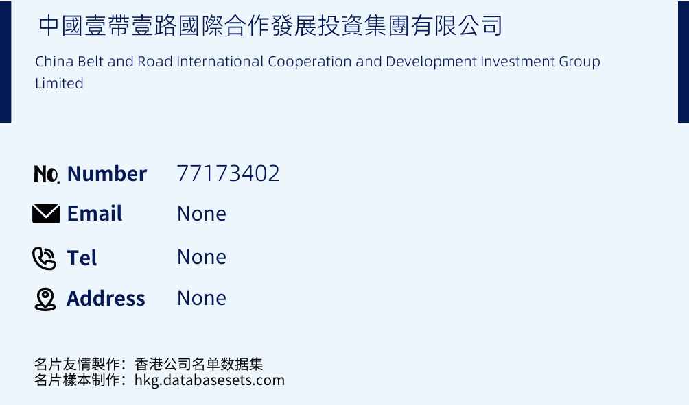 中國壹帶壹路國際合作發展投資集團有限公司 Business Card Sample