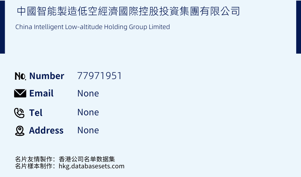 中國智能製造低空經濟國際控股投資集團有限公司 Business Card Sample