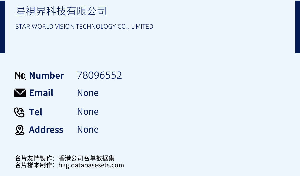 星視界科技有限公司 Business Card Sample