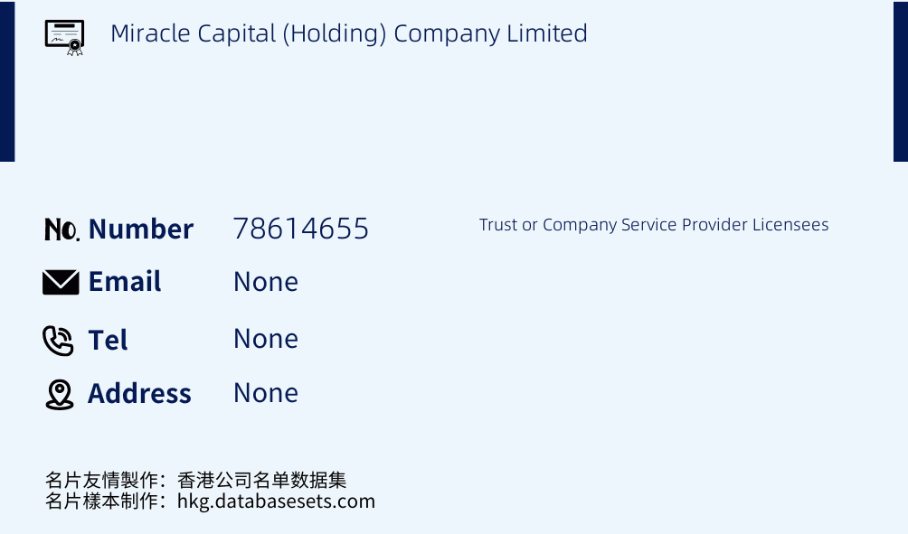 Miracle Capital (Holding) Company Limited Business Card Sample