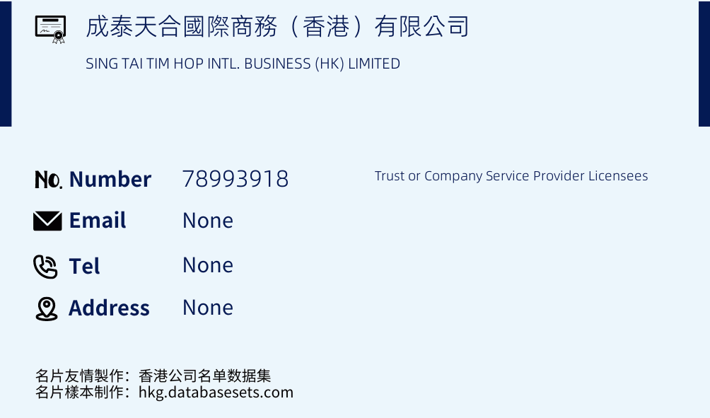 成泰天合國際商務（香港）有限公司 Business Card Sample