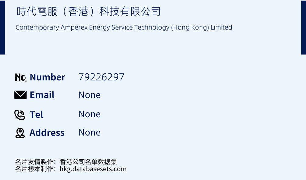 時代電服（香港）科技有限公司 Business Card Sample