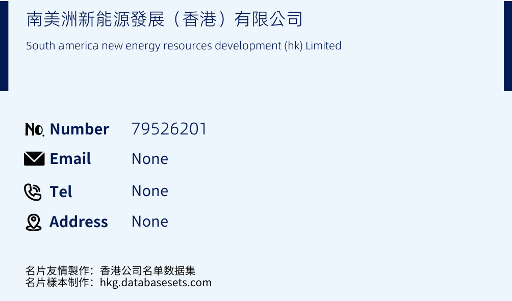南美洲新能源發展（香港）有限公司 Business Card Sample