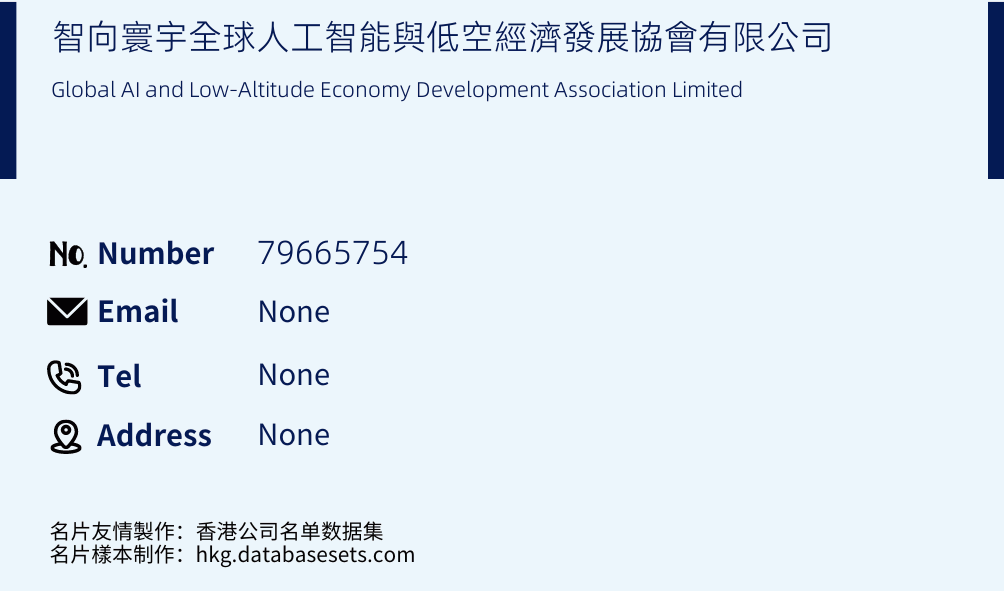 智向寰宇全球人工智能與低空經濟發展協會有限公司 Business Card Sample