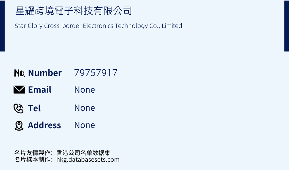 星耀跨境電子科技有限公司 Business Card Sample
