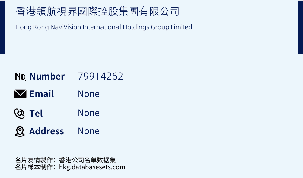 香港領航視界國際控股集團有限公司 Business Card Sample