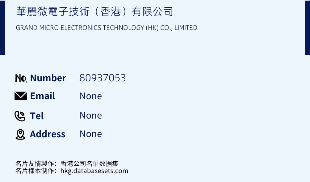 華麗微電子技術（香港）有限公司 Business Card Sample
