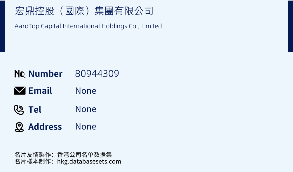 宏鼎控股（國際）集團有限公司 Business Card Sample