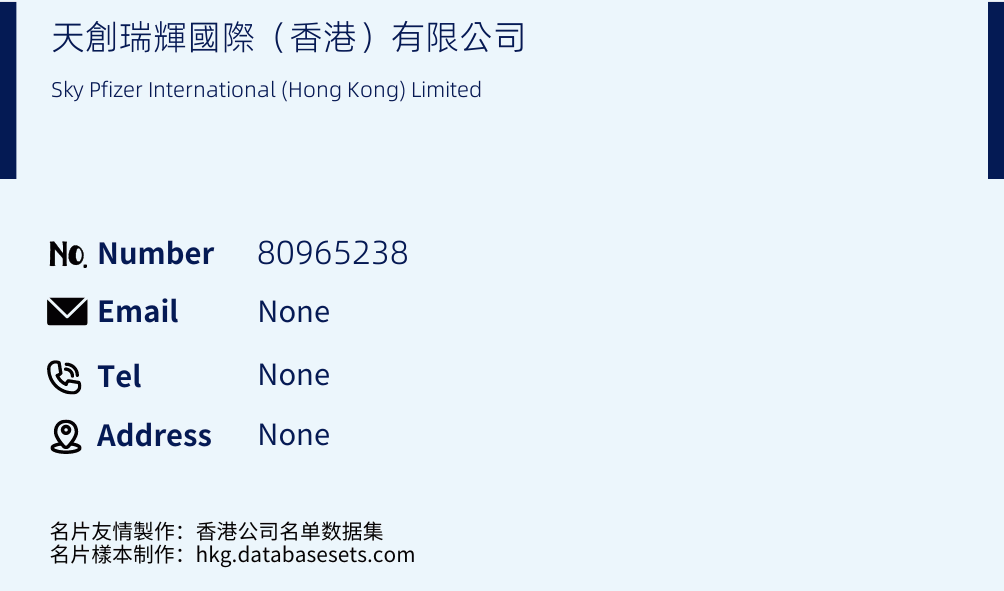 天創瑞輝國際（香港）有限公司 Business Card Sample