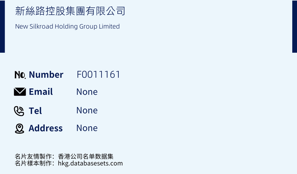 新絲路控股集團有限公司 Business Card Sample