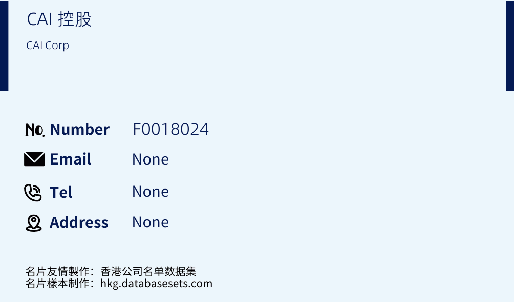 CAI 控股 Business Card Sample