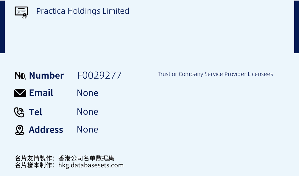 Practica Holdings Limited Business Card Sample