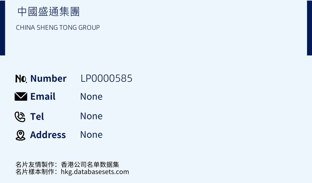 中國盛通集團 Business Card Sample