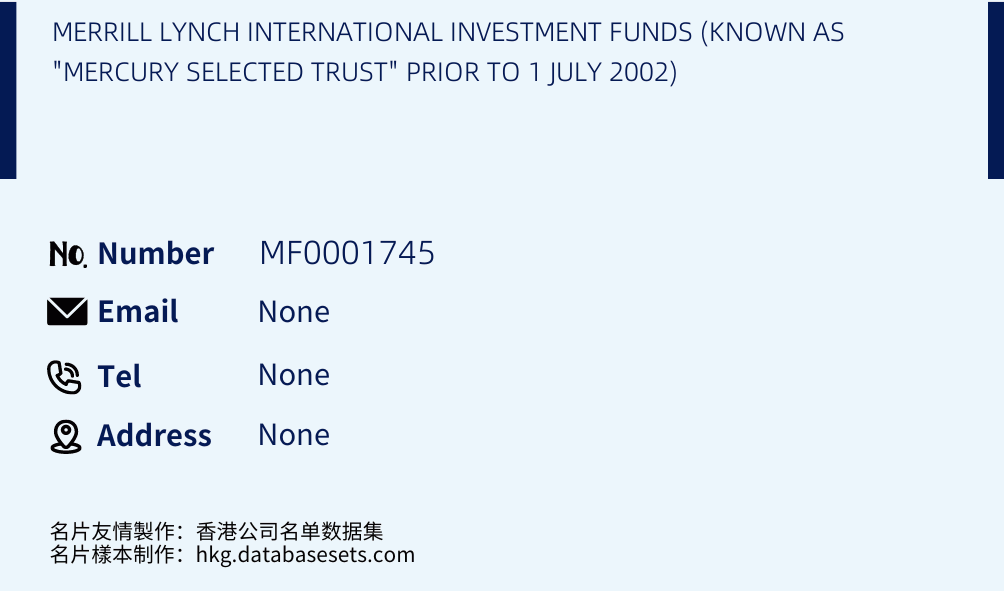 MERRILL LYNCH INTERNATIONAL INVESTMENT FUNDS (KNOWN AS "MERCURY SELECTED TRUST" PRIOR TO 1 JULY 2002) Business Card Sample