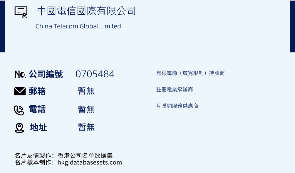 中国电信国际有限公司的名片样本
