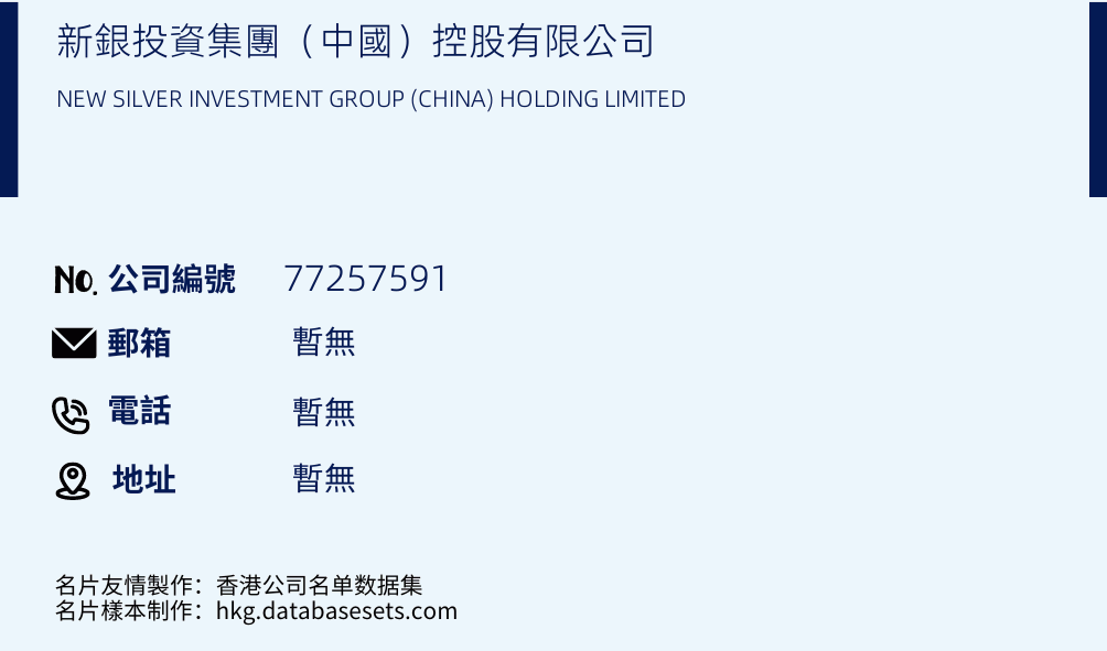 新银投资集团（中国）控股有限公司的名片样本